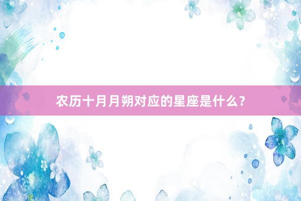 农历十月月朔对应的星座是什么？
