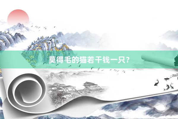 莫得毛的猫若干钱一只？