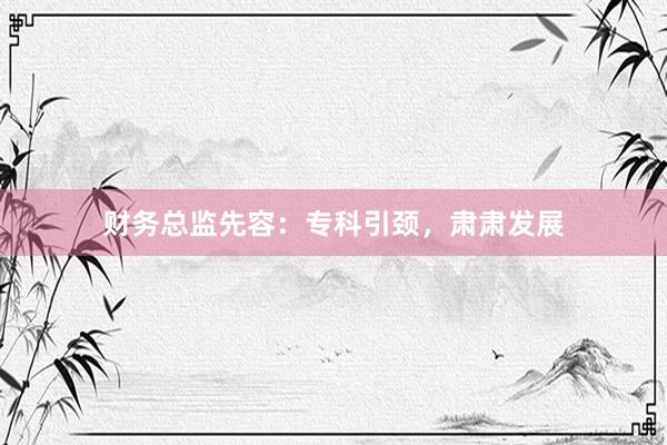 财务总监先容:专科引颈,肃肃发展