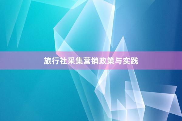 旅行社采集营销政策与实践